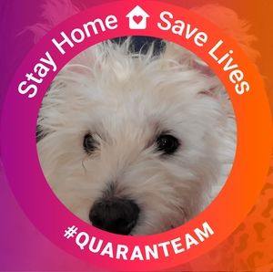 Meet your Posher, Chrissy